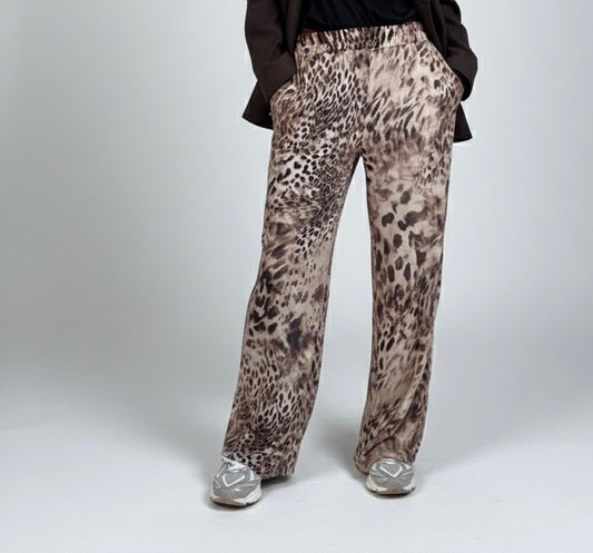PANTA LEO