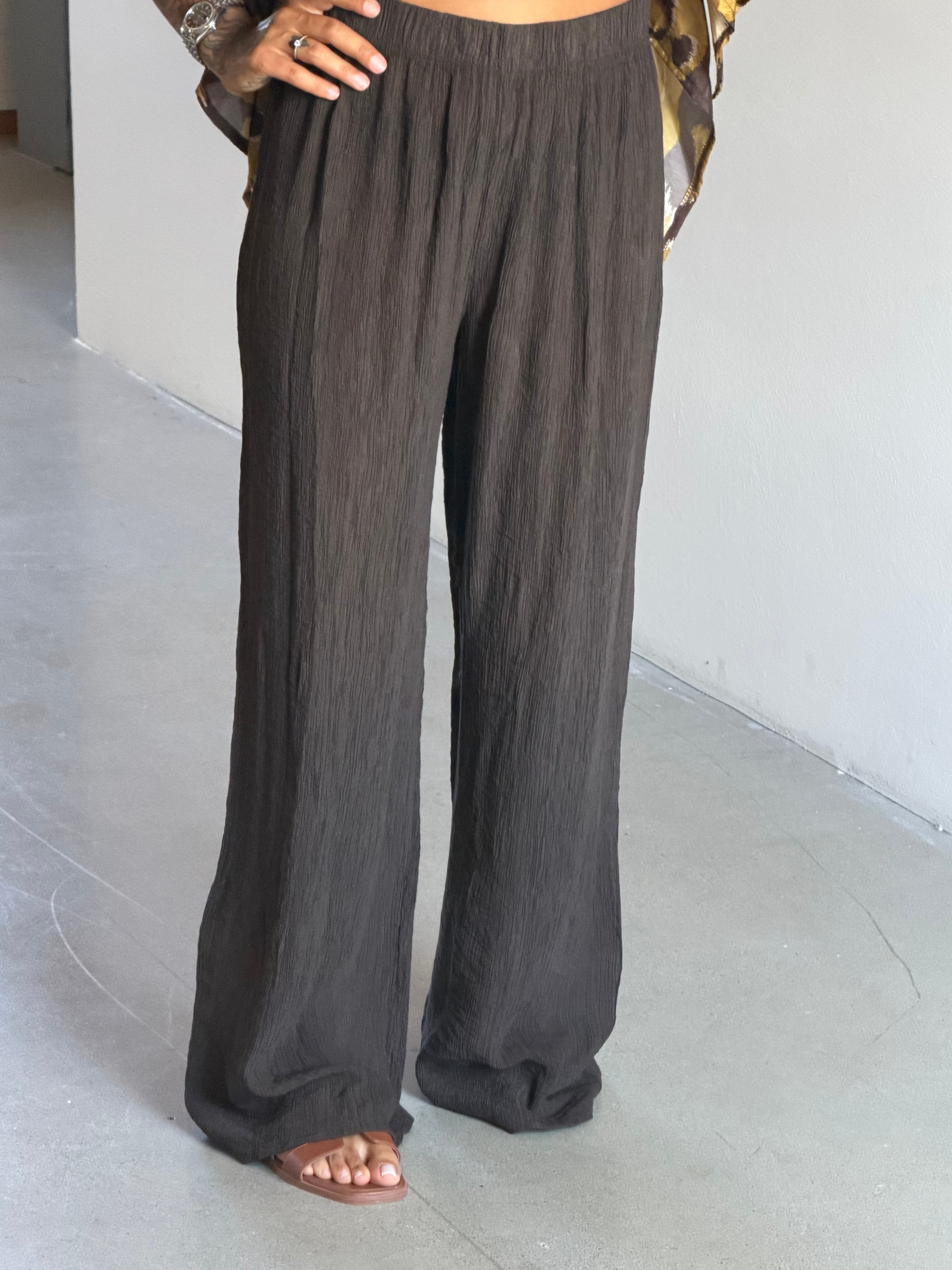 PANTA ORCHIDEA