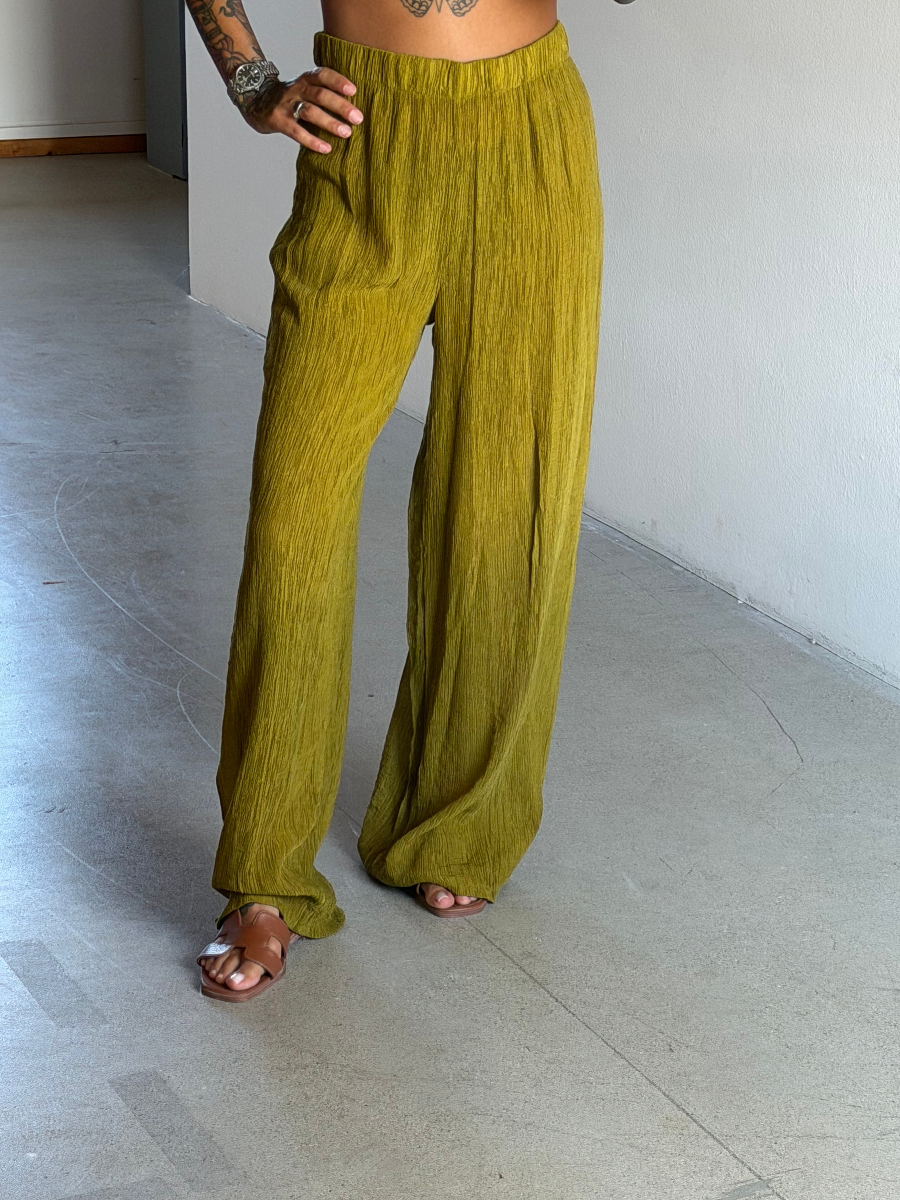 PANTA ORCHIDEA